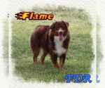 Image preview for Ad Listing. Nickname: Flame