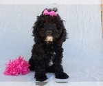 Image preview for Ad Listing. Nickname: Millie
