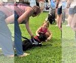 Small #1 American Staffordshire Terrier Mix