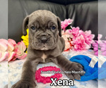 Image preview for Ad Listing. Nickname: Xena