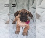 Image preview for Ad Listing. Nickname: Ella