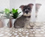 Image preview for Ad Listing. Nickname: Scout