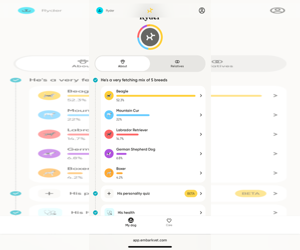 Medium Photo #10 Beagle-Unknown Mix Puppy For Sale in Dunnellon, FL, USA