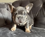 Image preview for Ad Listing. Nickname: Biggie Smalls