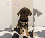 Small Labbe