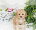 Image preview for Ad Listing. Nickname: KEY WEST