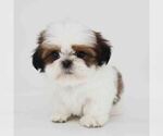 Image preview for Ad Listing. Nickname: Skye