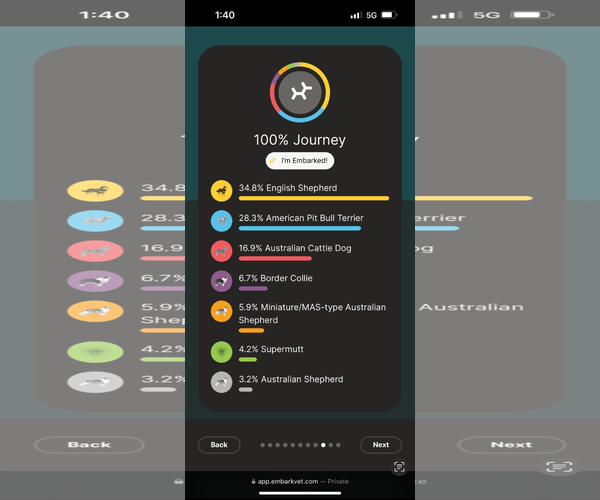 Medium Photo #3 American Staffordshire Terrier-English Shepherd Mix Puppy For Sale in Coralville, IA, USA