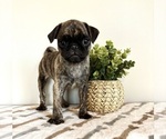 Image preview for Ad Listing. Nickname: Oaks