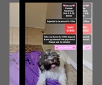 Image preview for Ad Listing. Nickname: Kenzie