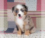 Image preview for Ad Listing. Nickname: Moe