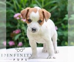 Image preview for Ad Listing. Nickname: Becky