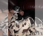 Small #1 Breeder Profile image