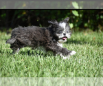 Image preview for Ad Listing. Nickname: Darla