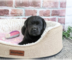 Image preview for Ad Listing. Nickname: Brooke