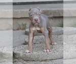 Image preview for Ad Listing. Nickname: Lily