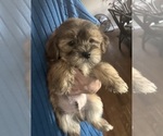 Image preview for Ad Listing. Nickname: puff daddy