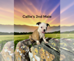 Image preview for Ad Listing. Nickname: 2nd Male