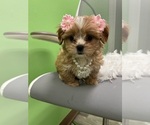 Image preview for Ad Listing. Nickname: Lola