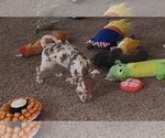 Image preview for Ad Listing. Nickname: Britt