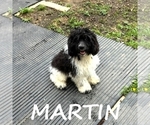 Image preview for Ad Listing. Nickname: Martin