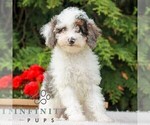 Image preview for Ad Listing. Nickname: Carson
