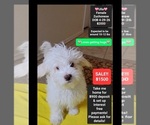 Image preview for Ad Listing. Nickname: Ulla