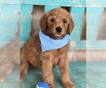 Image preview for Ad Listing. Nickname: JD