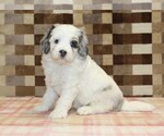 Image preview for Ad Listing. Nickname: Alvin