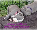Image preview for Ad Listing. Nickname: Mauve Female