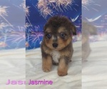 Image preview for Ad Listing. Nickname: Jasmine