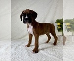 Image preview for Ad Listing. Nickname: Blaze