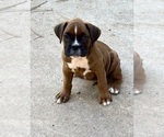 Image preview for Ad Listing. Nickname: Kirk