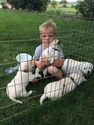 Small Photo #3 Labrador Retriever Puppy For Sale in PARMA, ID, USA