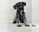 Image preview for Ad Listing. Nickname: Sophie