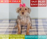 Image preview for Ad Listing. Nickname: Starla