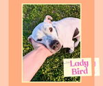 Small #2 Breeder Profile image