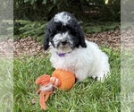 Image preview for Ad Listing. Nickname: Ava
