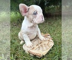 Image preview for Ad Listing. Nickname: Dina