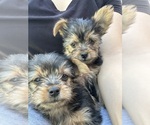 Image preview for Ad Listing. Nickname: Twins