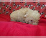Image preview for Ad Listing. Nickname: CARMEL