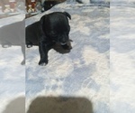 Image preview for Ad Listing. Nickname: hershery