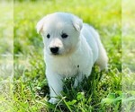 Image preview for Ad Listing. Nickname: Lela
