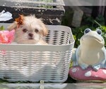 Image preview for Ad Listing. Nickname: Princessa