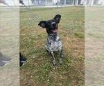 Small Pointer