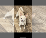 Small #1 Breeder Profile image