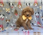 Image preview for Ad Listing. Nickname: Kade