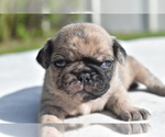 Image preview for Ad Listing. Nickname: Bumble