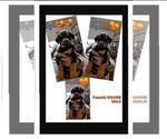 Puppy Puppy 2 Rottweiler