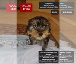 Image preview for Ad Listing. Nickname: Squirt